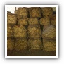 LEAF TOBACCO SHREDDED TOBACCO raw tobacco leaf dark air cured tobacco rustica tobacco FLUE CURED TOBACCO